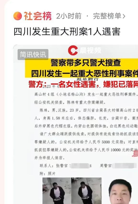 宁阳罡城教师被杀最新情况，深度探究事件背后