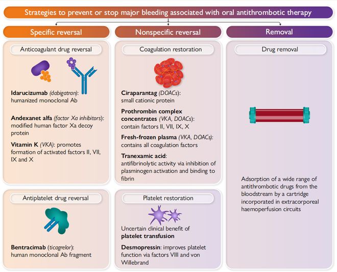 最新抗血栓药物概述