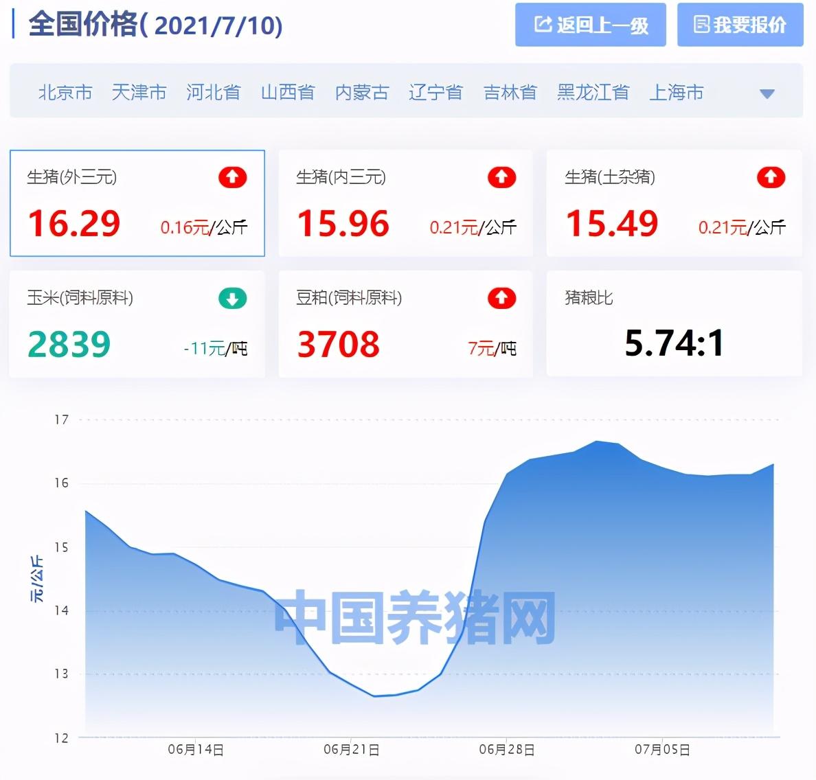 今日最新生猪涨跌表，市场走势分析与预测