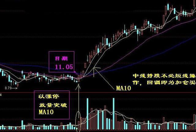 金麒麟5号最新净值，深度解析与市场展望