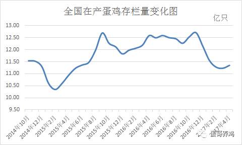 芝华最新分析蛋鸡存栏趋势报告