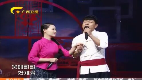 杨涛贺艳娜最新歌曲，音乐界的璀璨新星闪耀时刻