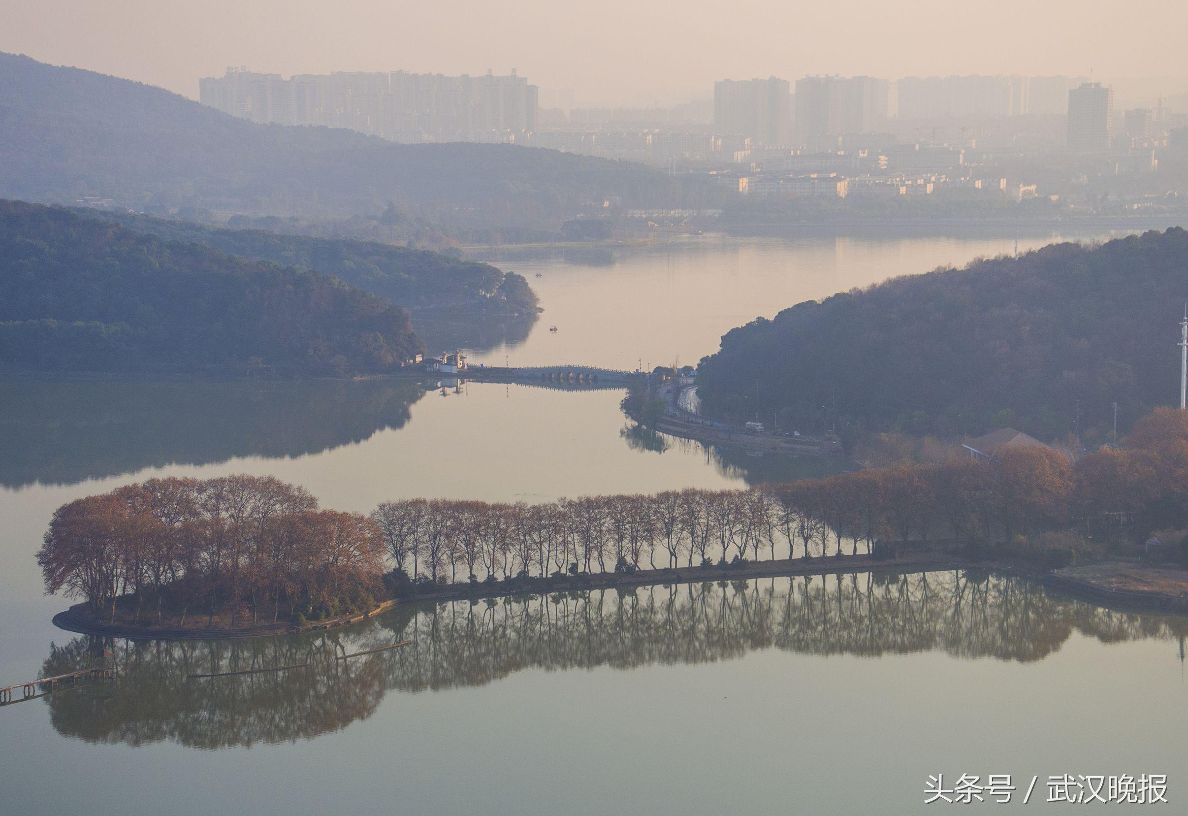 东湖城二期最新动态，揭开未来城市新篇章